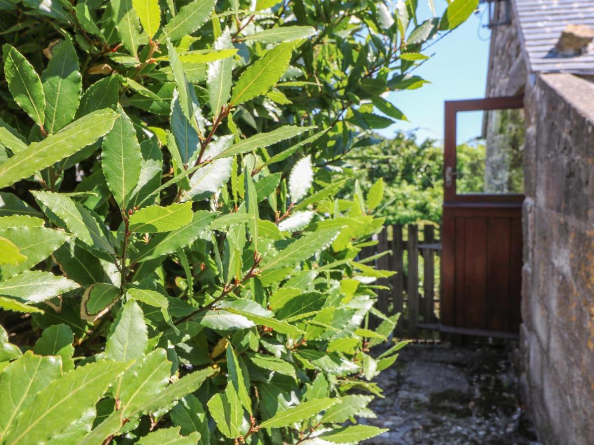 Lower Rissick Cottage Penzance Luaran gambar